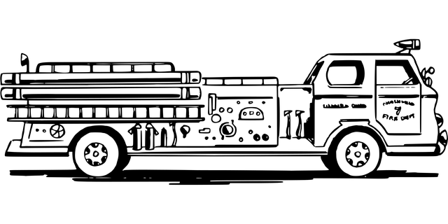 49865005