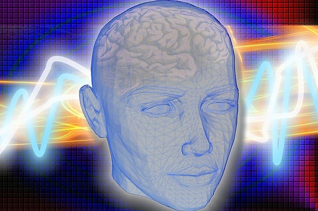 48431537