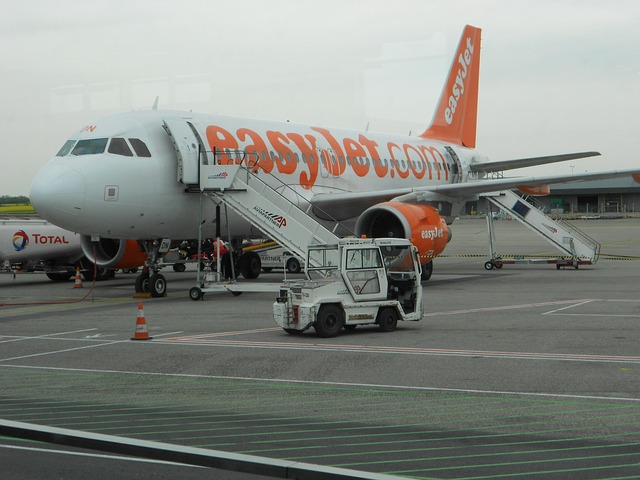 69341401