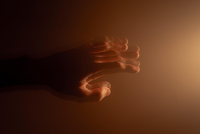 31081879