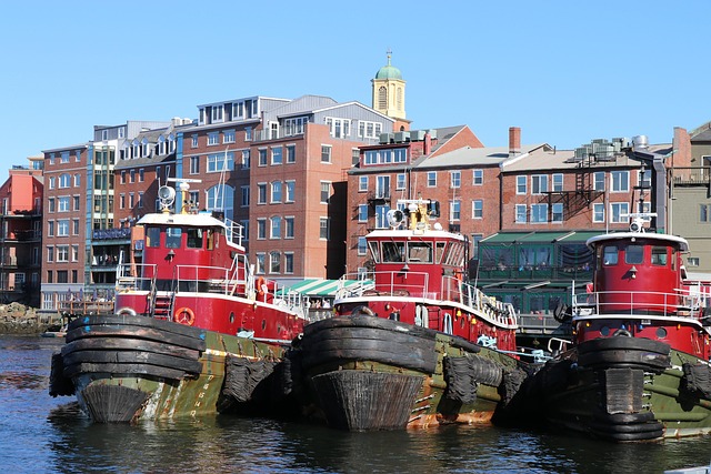 52304224