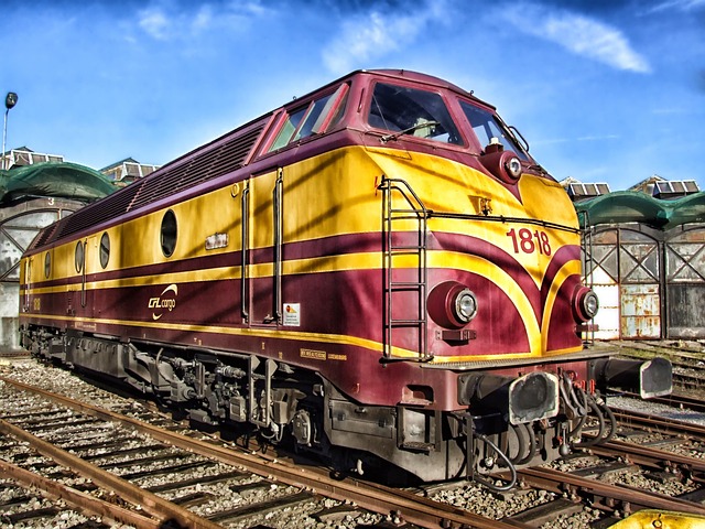 21655195